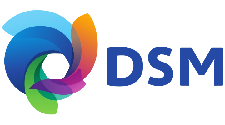 Logo DSM | Cliente Inés Seisdedos